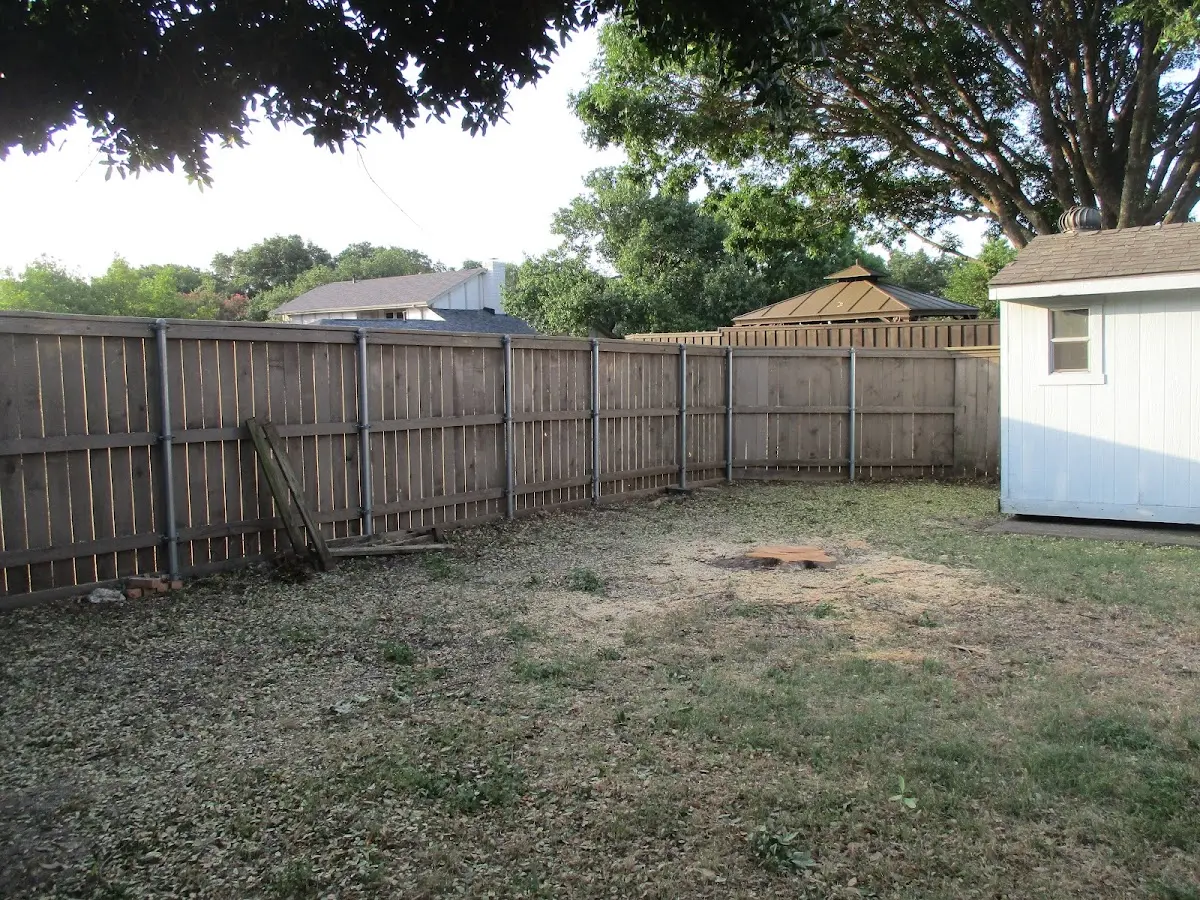 Cleared yard after professional tree removal in Davidsville
